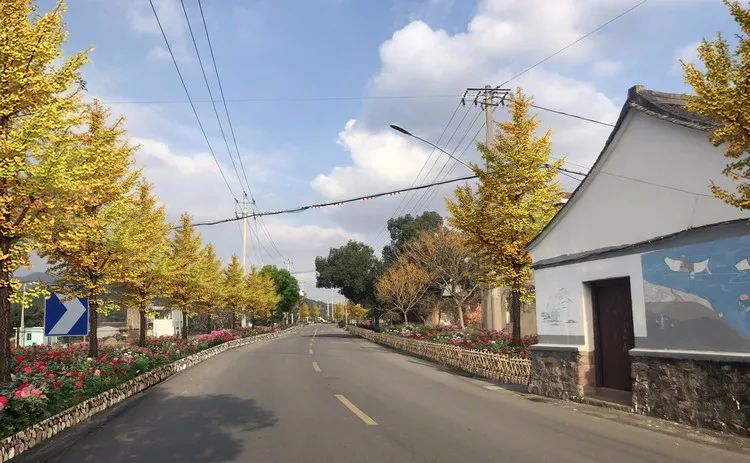 臺頭鄉新項目啟動，引領鄉村發展邁入新篇章