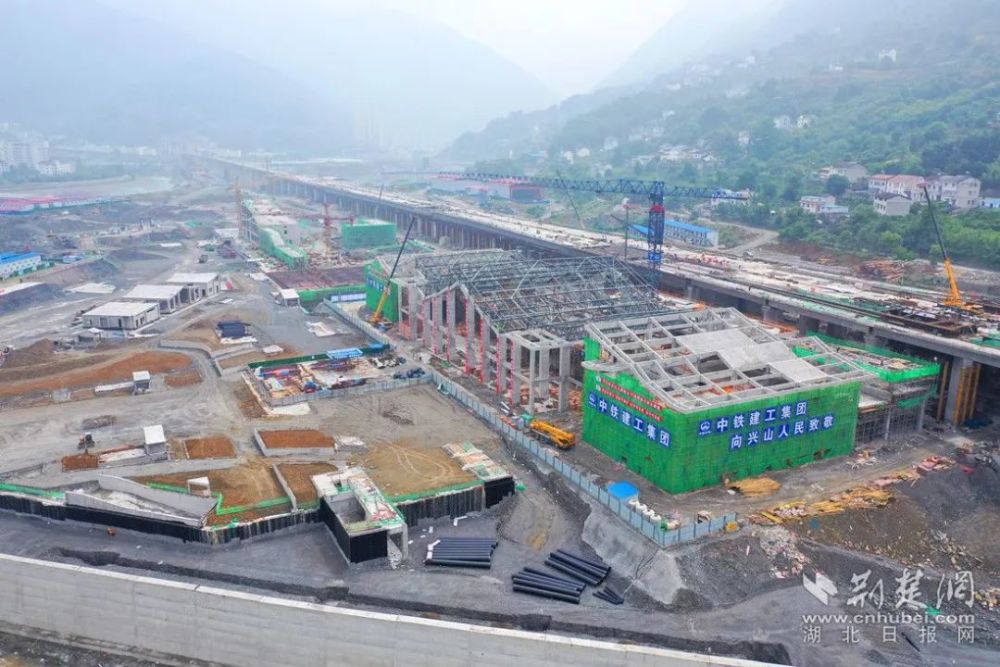 克山縣衛生健康局最新發展規劃概覽