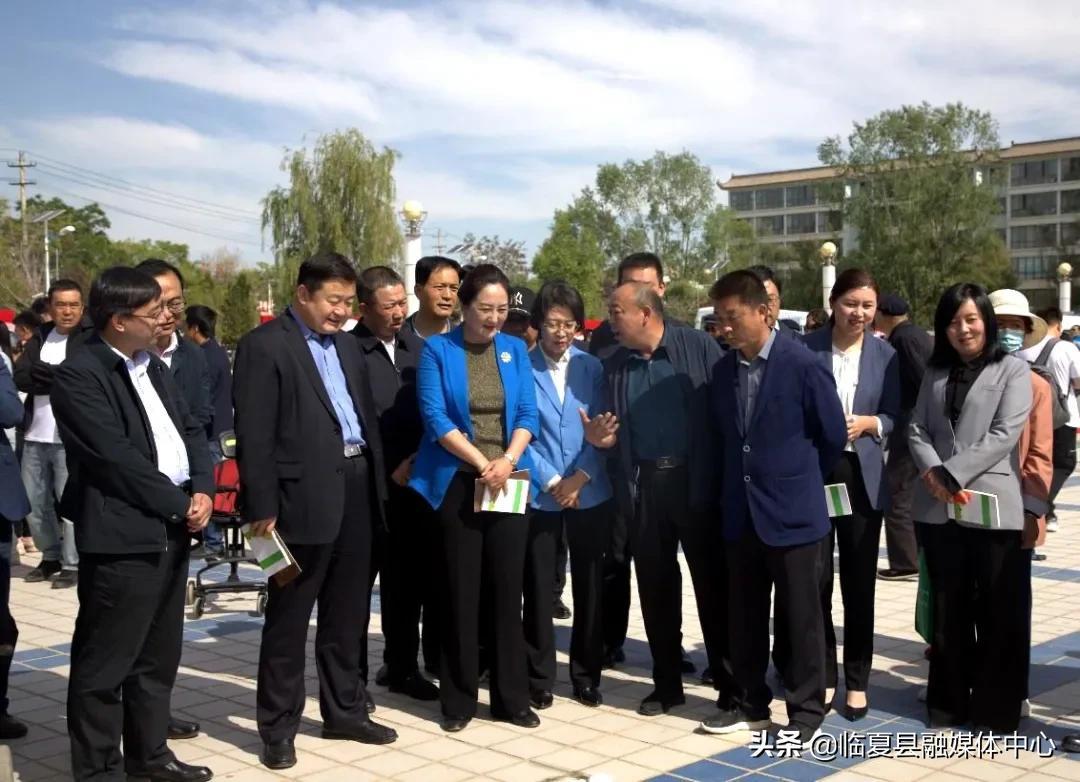 臨夏回族自治州市衛(wèi)生局最新項目進展報告，更新與總結(jié)